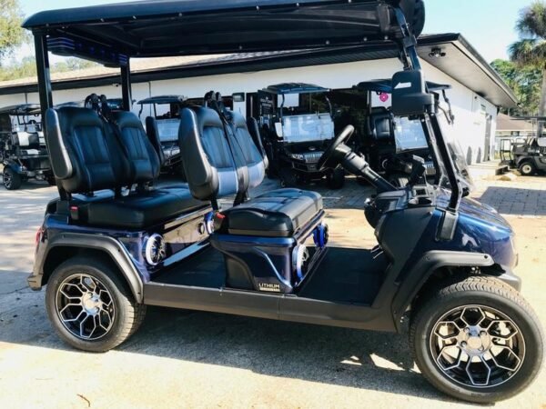 Four-passenger seating of 2025 Evolution D5-Ranger 4 Plus Blue available in South Carolina with nationwide delivery
