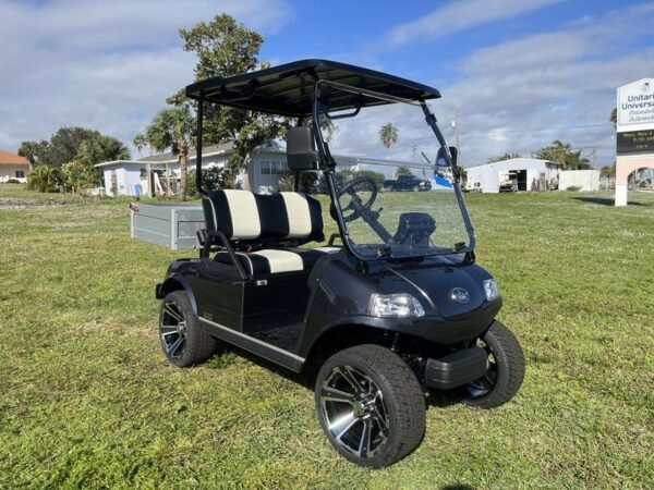 Front view of 2025 Evolution Turfman 200 black utility vehicle available in Virginia with nationwide delivery and export options