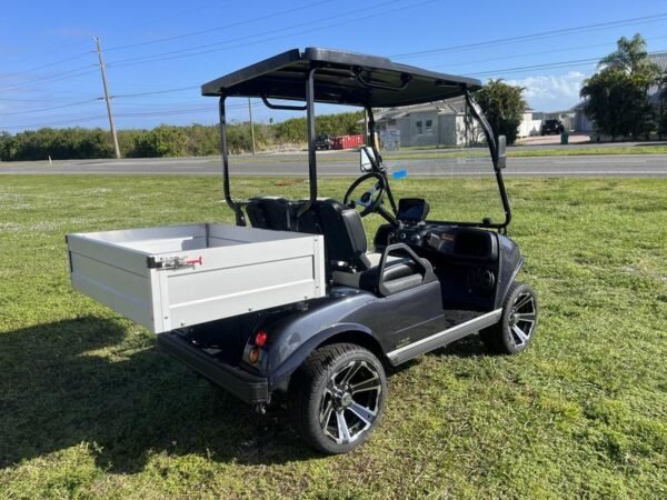 Rear view of 2025 Evolution Turfman 200 black utility vehicle available in Virginia