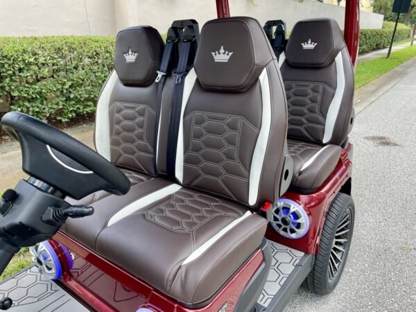 Brown and white luxury seats in the Evolution D-Max GT4