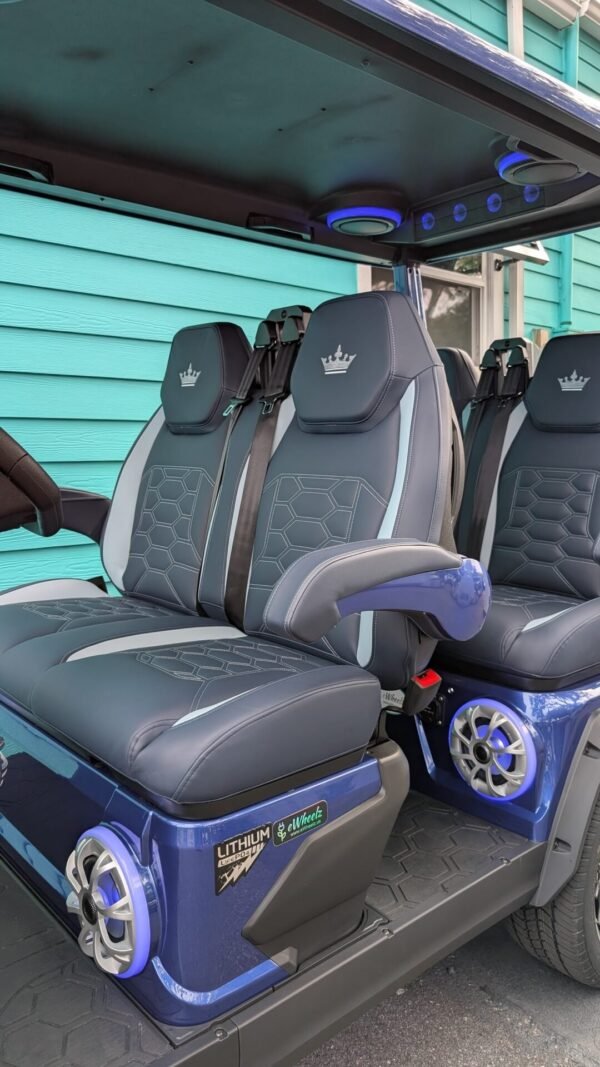 Gray and white luxury seats in the Evolution D-Max GT4